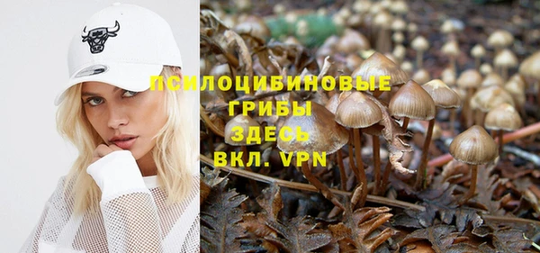 МДМА Медвежьегорск