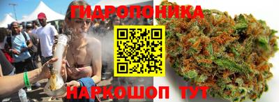 2c-b Партизанск