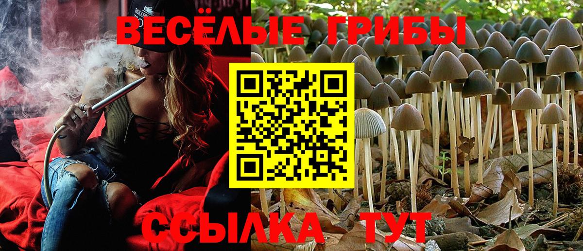где можно купить   Псилоцибиновые грибы Psilocybe  Сосновый Бор  Вход с VPN  Галлюциногенные грибы Cubensis 