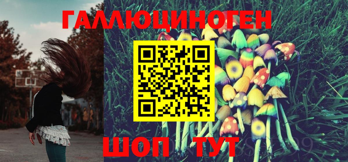 Псилоцибиновые грибы мухоморы Сосновый Бор